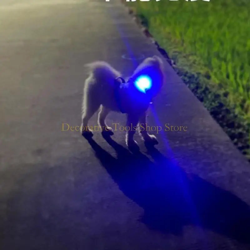 Dog LED Light Collar Light