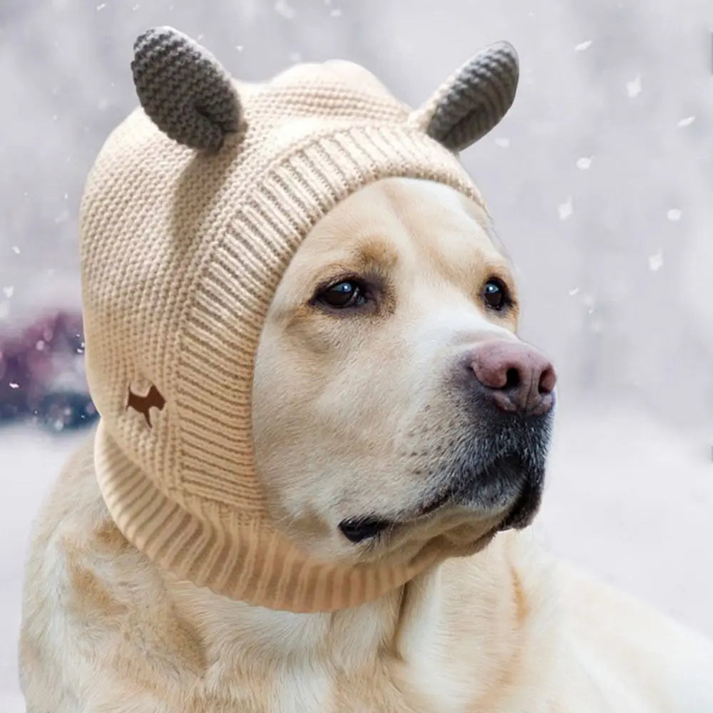 Quiet Dog Ear Muffs Noise