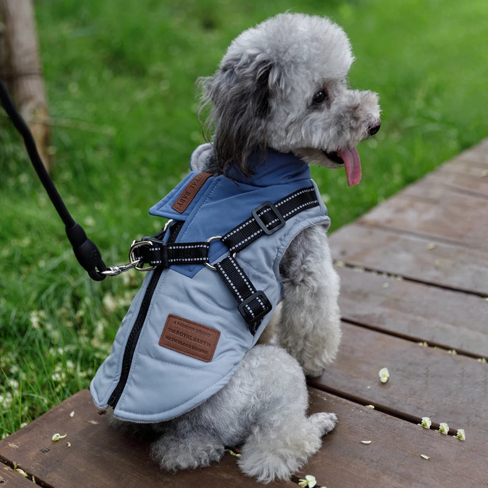 Winter Harness