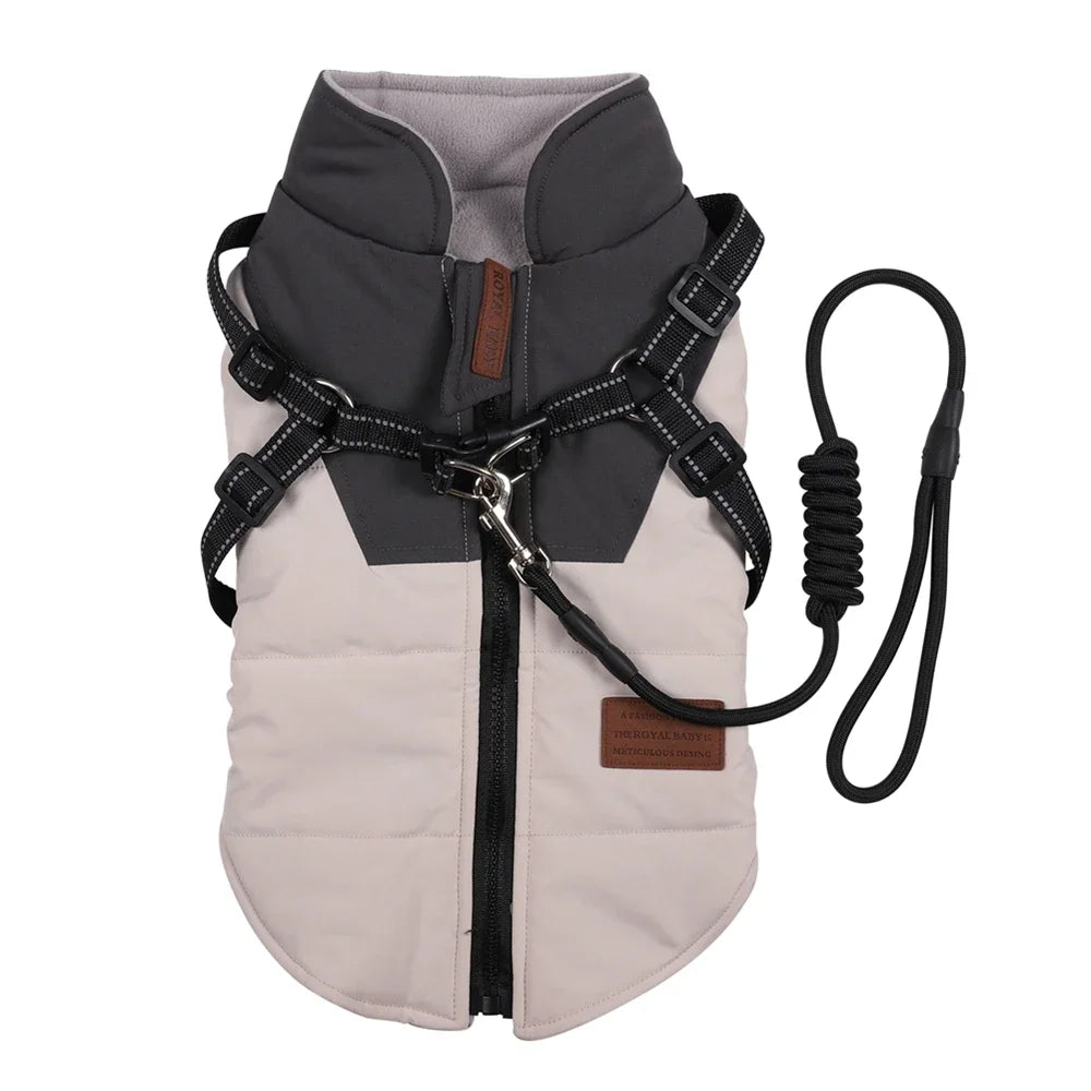 Winter Harness