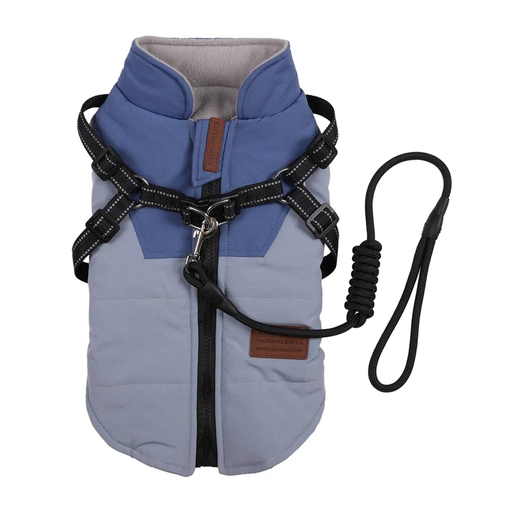 Winter Harness