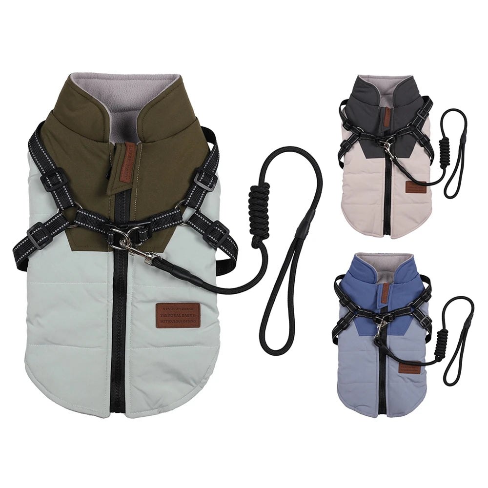 Winter Harness
