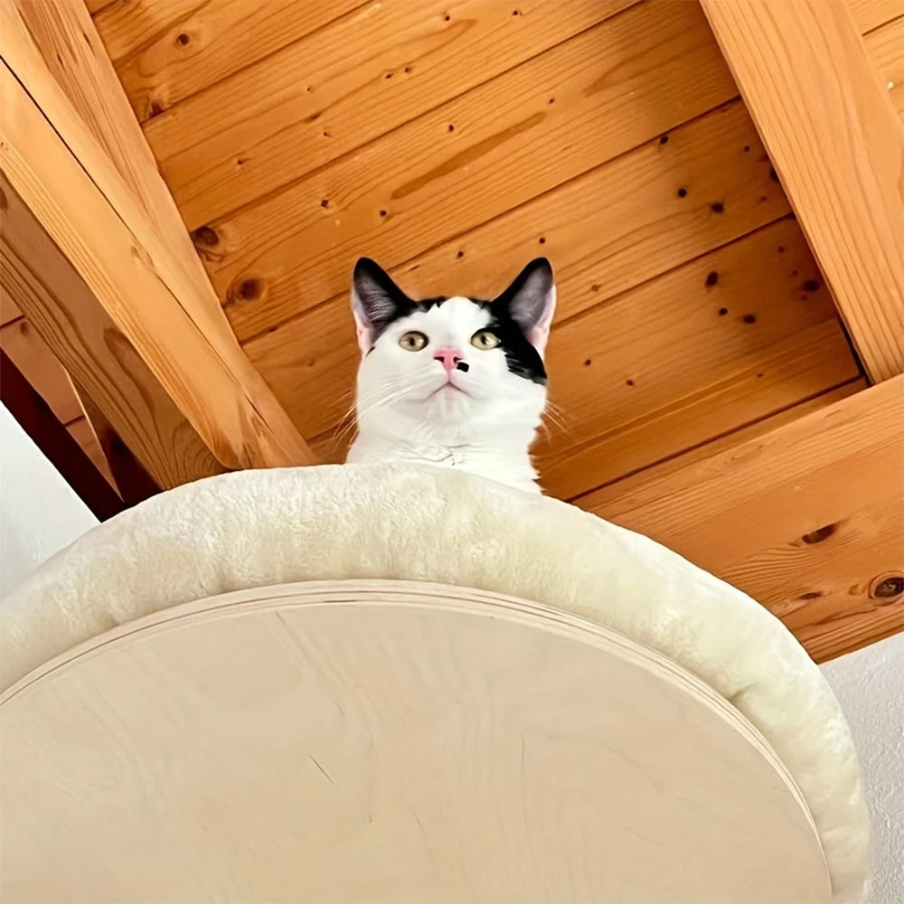 Cat Wall Mounted Solid Wooden Furniture Climbing Ladder