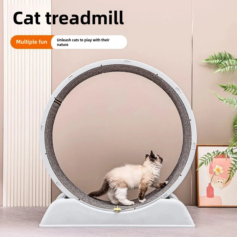 Pet treadmill, cat at home parkour exercise, easy to assemble cat exercise roller, durable, solid color style, cat treadmill