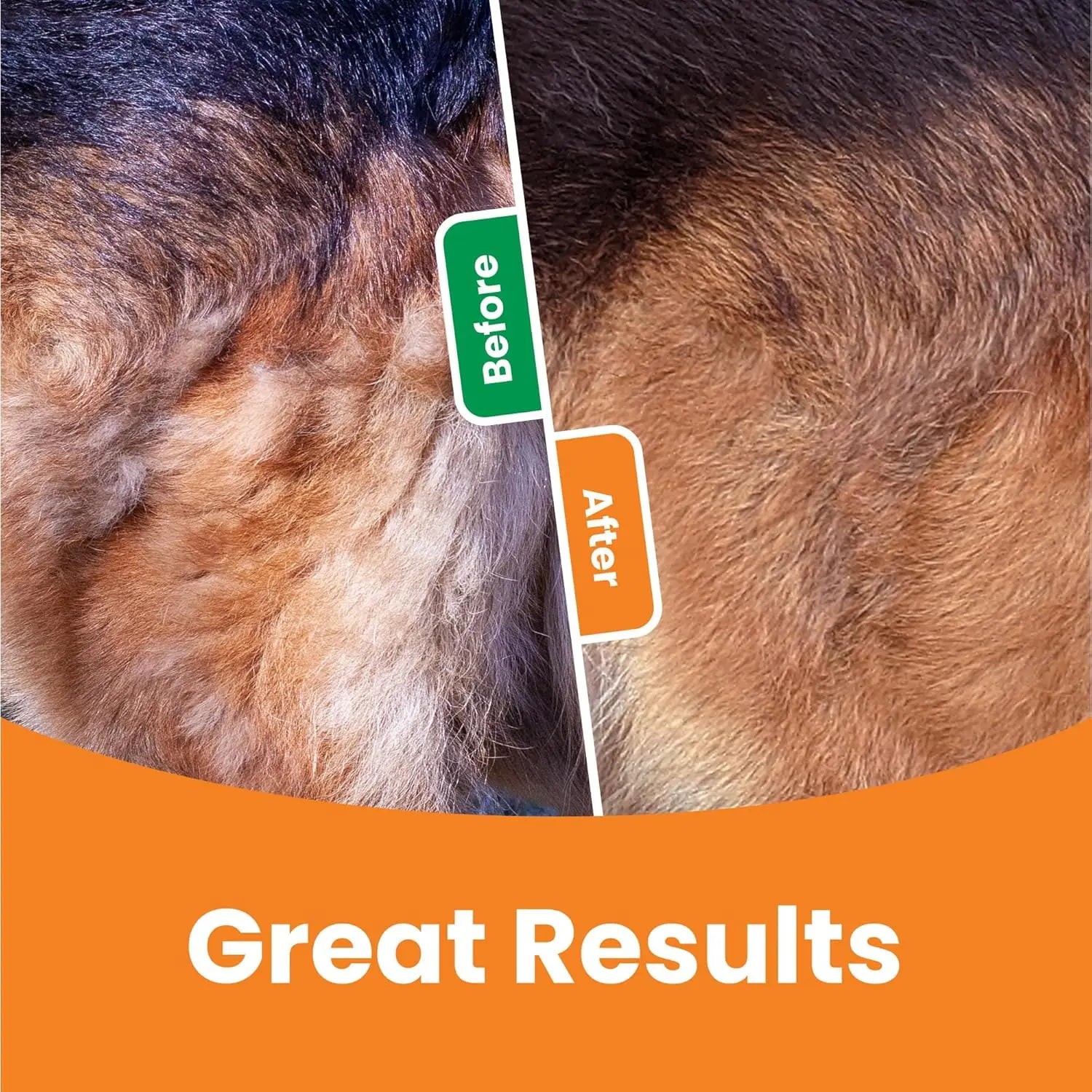 Raymax 3 In 1 Pet Deshedding Brush Dog Hair Remover Pet Fur Knot Cutter Puppy Cat Comb Brushes Dogs Grooming Shedding Supplies