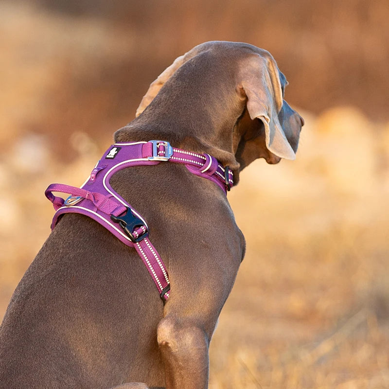 Winhyepet Training Dog Vest Pet Reflectiv Light