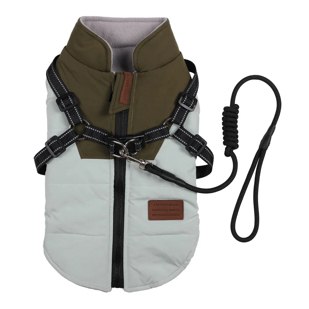 Winter Harness