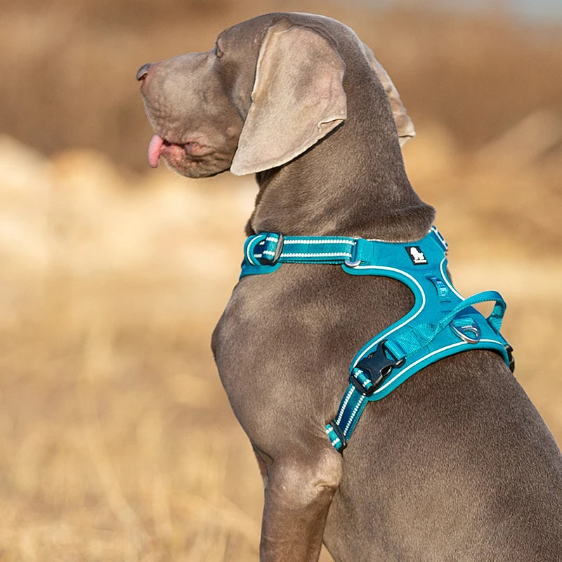 Winhyepet Training Dog Vest Pet Reflectiv Light