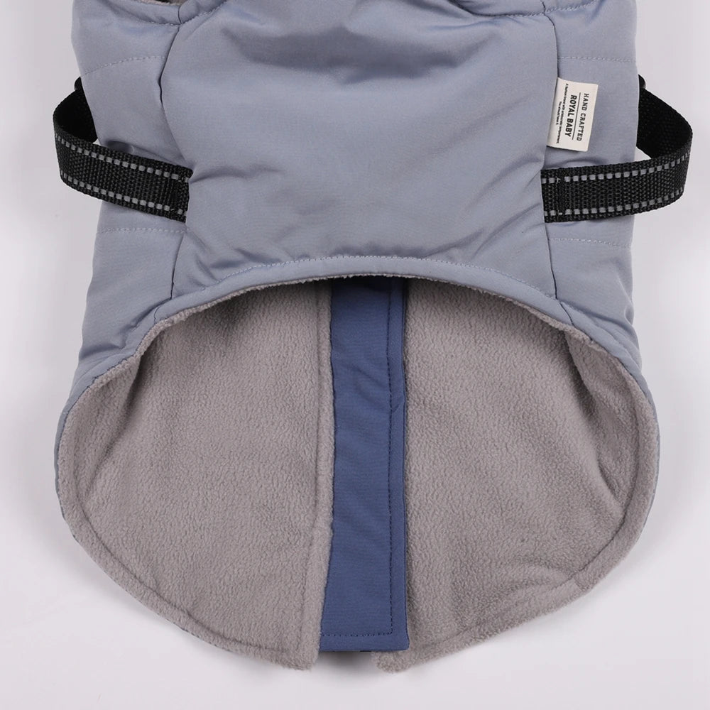 Winter Harness