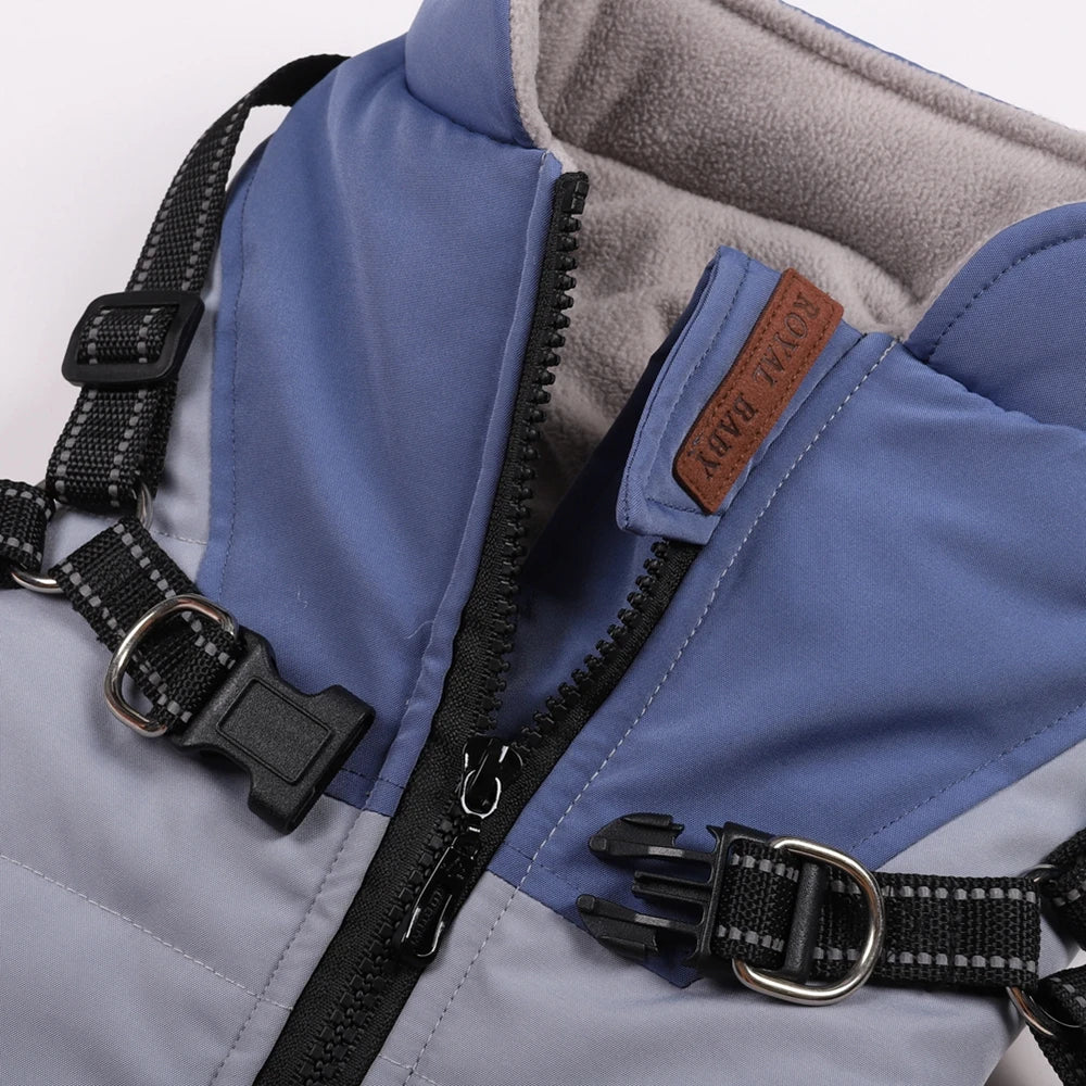 Winter Harness